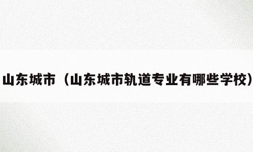 山东城市（山东城市轨道专业有哪些学校）