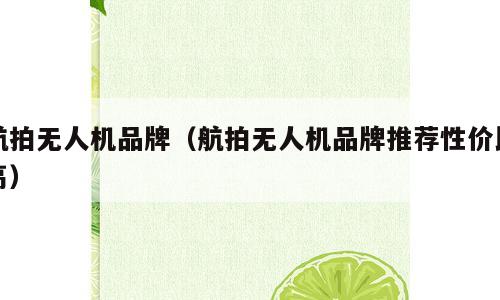 航拍无人机品牌（航拍无人机品牌推荐性价比高）