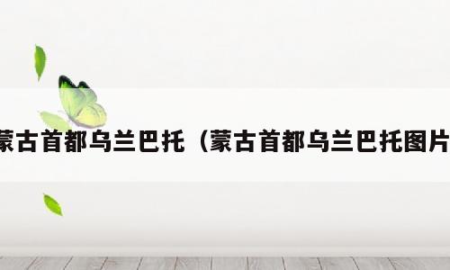 蒙古首都乌兰巴托（蒙古首都乌兰巴托图片）