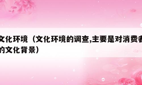 文化环境（文化环境的调查,主要是对消费者的文化背景）