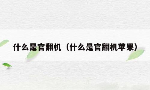 什么是官翻机（什么是官翻机苹果）
