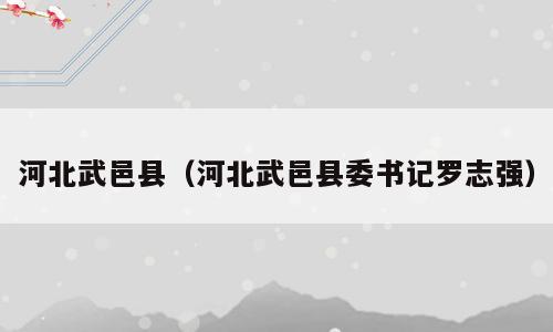 河北武邑县（河北武邑县委书记罗志强）