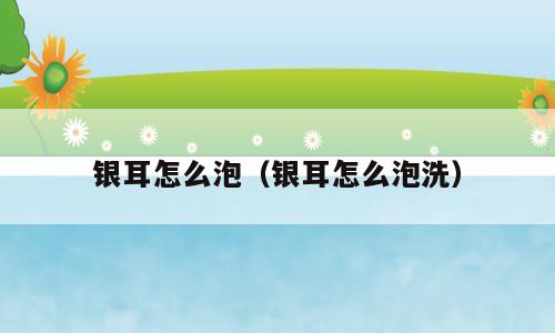 银耳怎么泡（银耳怎么泡洗）