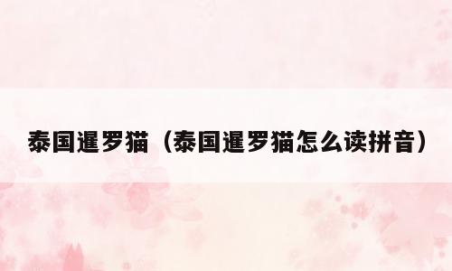 泰国暹罗猫（泰国暹罗猫怎么读拼音）
