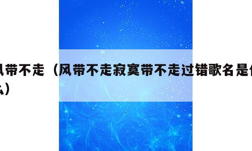 风带不走（风带不走寂寞带不走过错歌名是什么）