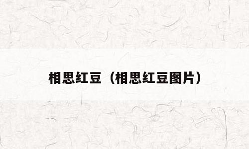 相思红豆（相思红豆图片）