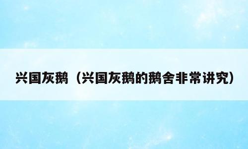 兴国灰鹅（兴国灰鹅的鹅舍非常讲究）