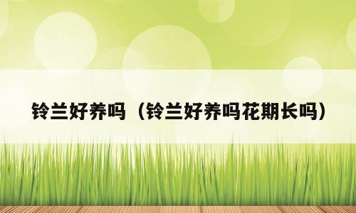 铃兰好养吗（铃兰好养吗花期长吗）