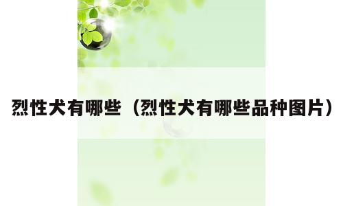 烈性犬有哪些（烈性犬有哪些品种图片）