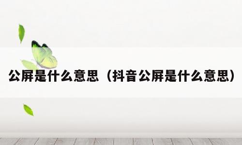 公屏是什么意思（抖音公屏是什么意思）