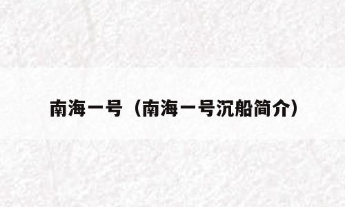 南海一号（南海一号沉船简介）