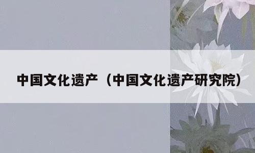 中国文化遗产（中国文化遗产研究院）