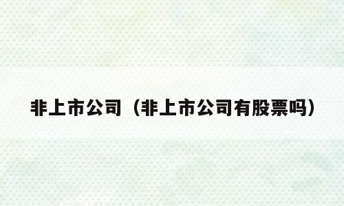 非上市公司（非上市公司有股票吗）