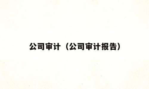 公司审计（公司审计报告）