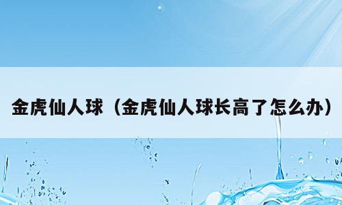 金虎仙人球（金虎仙人球长高了怎么办）