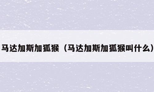 马达加斯加狐猴（马达加斯加狐猴叫什么）