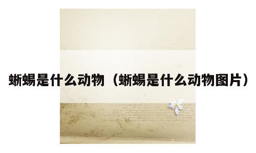 蜥蜴是什么动物（蜥蜴是什么动物图片）
