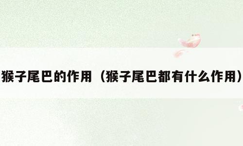 猴子尾巴的作用（猴子尾巴都有什么作用）