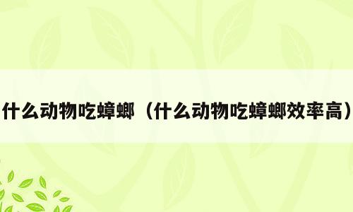 什么动物吃蟑螂（什么动物吃蟑螂效率高）