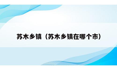 苏木乡镇（苏木乡镇在哪个市）
