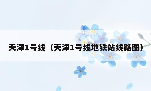 天津1号线（天津1号线地铁站线路图）