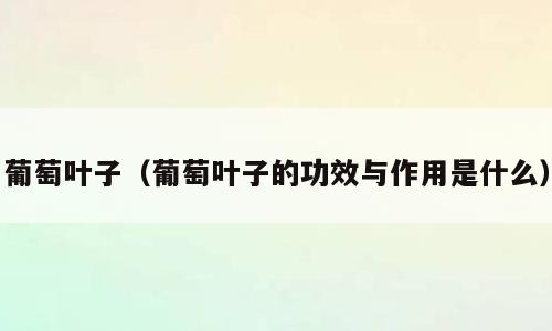 葡萄叶子（葡萄叶子的功效与作用是什么）