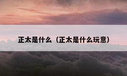 正太是什么（正太是什么玩意）