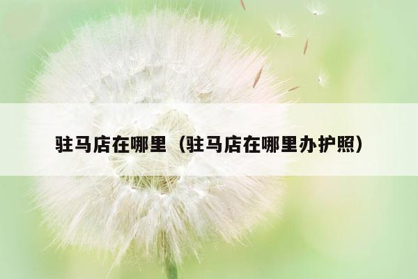 驻马店在哪里（驻马店在哪里办护照）