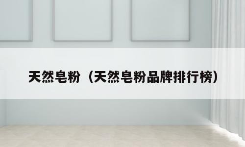 天然皂粉（天然皂粉品牌排行榜）