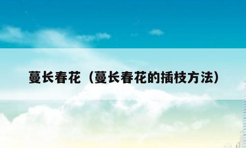 蔓长春花（蔓长春花的插枝方法）