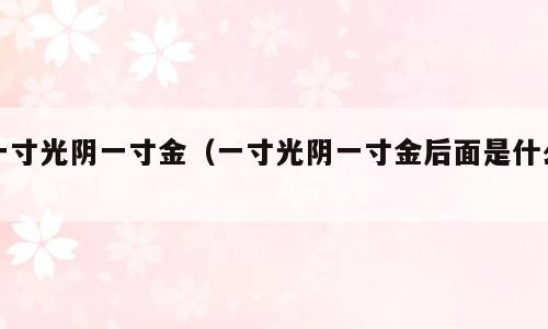 一寸光阴一寸金（一寸光阴一寸金后面是什么）