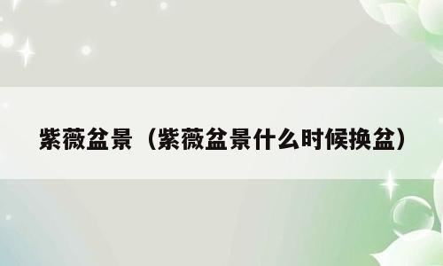 紫薇盆景（紫薇盆景什么时候换盆）