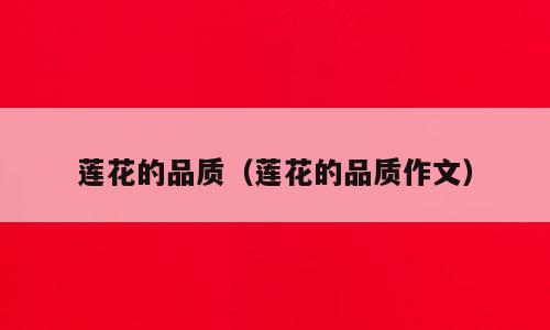 莲花的品质（莲花的品质作文）