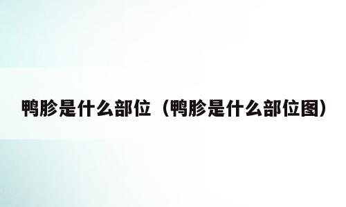 鸭胗是什么部位（鸭胗是什么部位图）