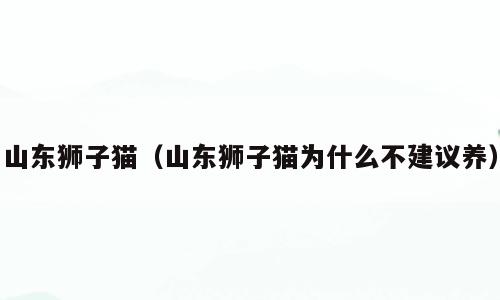 山东狮子猫（山东狮子猫为什么不建议养）
