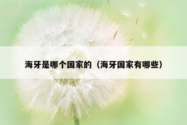 海牙是哪个国家的（海牙国家有哪些）