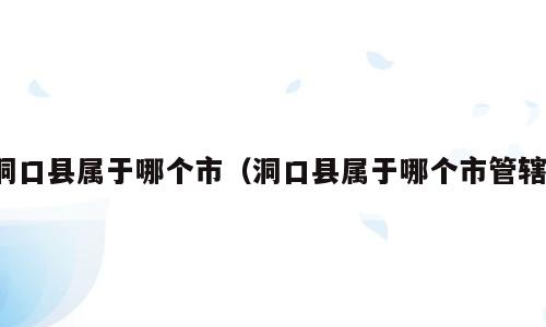 洞口县属于哪个市（洞口县属于哪个市管辖）