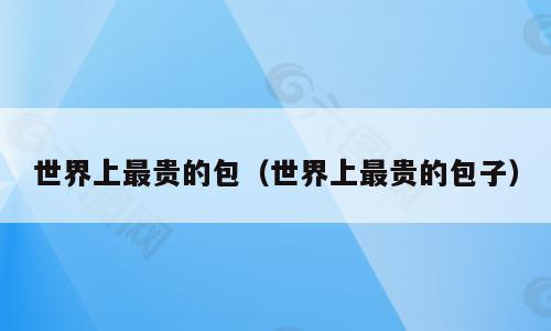 世界上最贵的包（世界上最贵的包子）