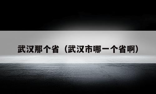 武汉那个省（武汉市哪一个省啊）