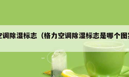 空调除湿标志（格力空调除湿标志是哪个图案）