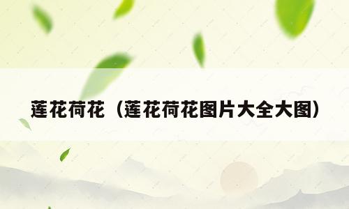 莲花荷花（莲花荷花图片大全大图）