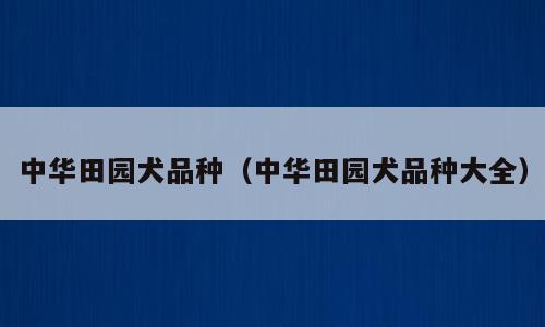 中华田园犬品种（中华田园犬品种大全）