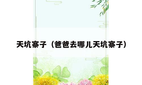 天坑寨子（爸爸去哪儿天坑寨子）