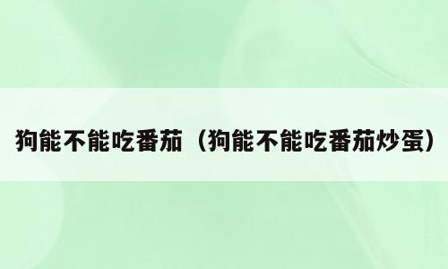 狗能不能吃番茄（狗能不能吃番茄炒蛋）
