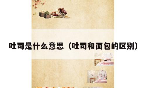 吐司是什么意思（吐司和面包的区别）