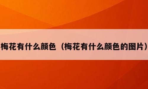 梅花有什么颜色（梅花有什么颜色的图片）