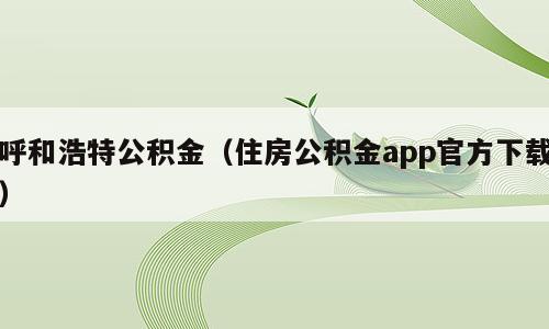 呼和浩特公积金（住房公积金app官方下载）