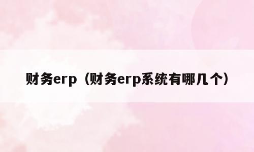 财务erp（财务erp系统有哪几个）