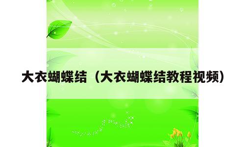 大衣蝴蝶结（大衣蝴蝶结教程视频）