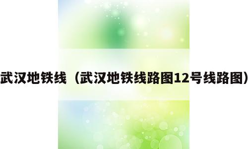 武汉地铁线（武汉地铁线路图12号线路图）